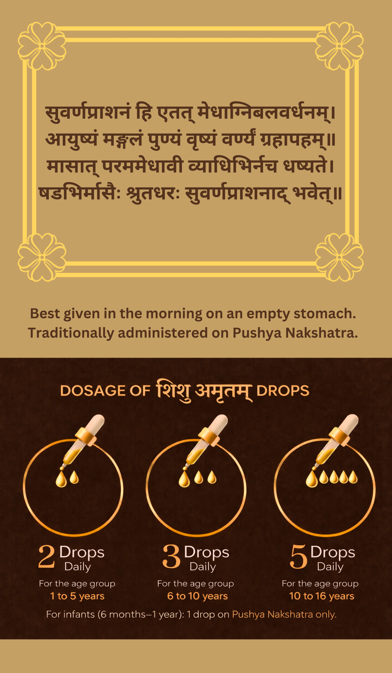 Shishu Amritam (Suvarna Prashan Drops) - Image 2